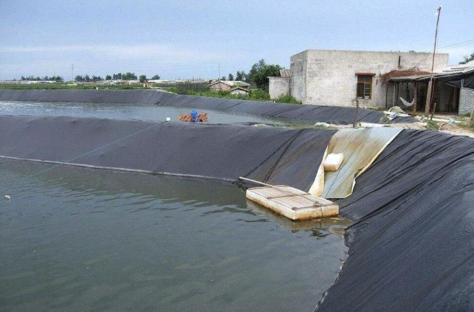 ֳĤ